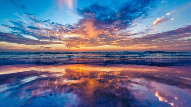 bat365公司：园林绿化用山楂树