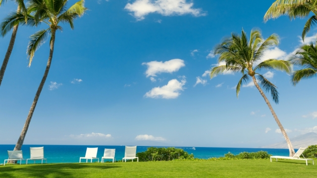 园林绿化废物利用