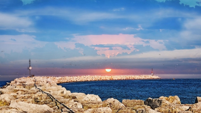 bat365：园林绿化草地是什么草