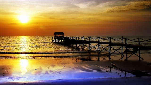 bat365：园林绿化需要肥料吗