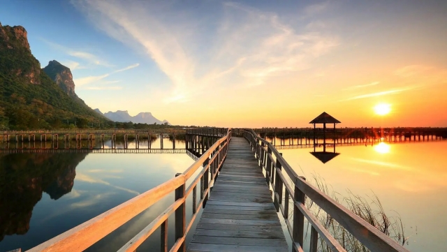 bat365公司：园林绿化一般预付多少