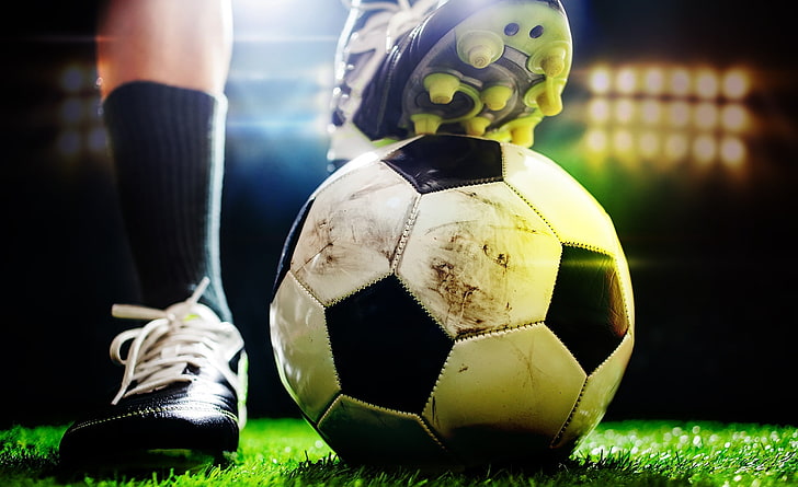 bat365集团：园林绿化种植花