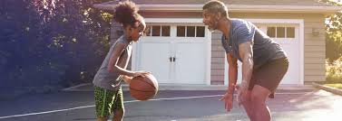 园林绿化树木种类特点