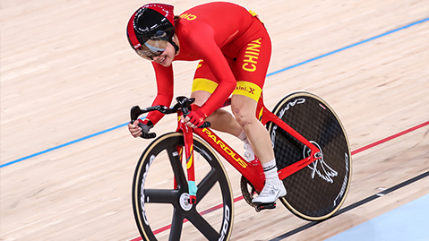 bat365公司：园林绿化用地分类